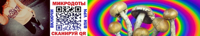 Псилоцибиновые грибы Psilocybe Семилуки
